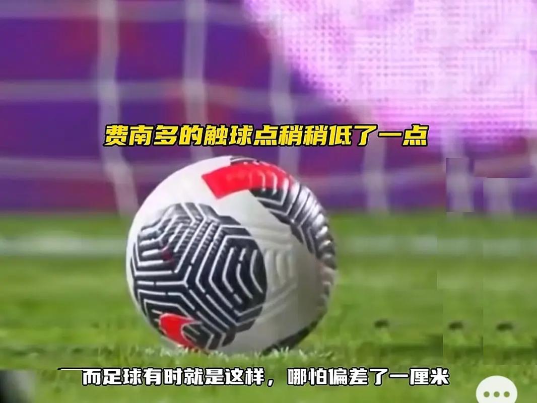 看守的卡梅