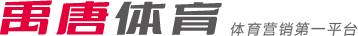 出色的传球