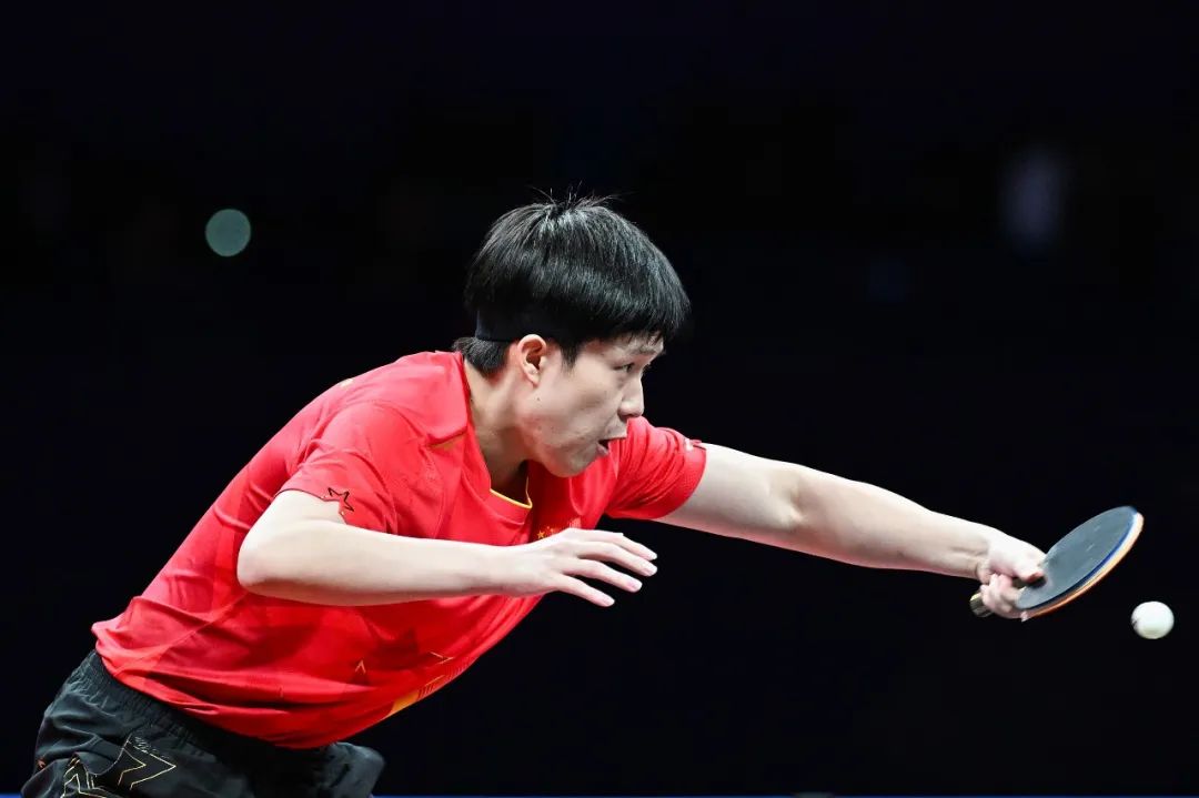 尤其是张本 尤其是张本